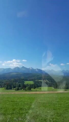 A scenic view of a mountain range under a clear blue sky. The foreground shows a vibrant green meadow with a gentle slope. In the midground, there is a dense forest of evergreen trees, interspersed with patches of lighter green fields. The background is dominated by a majestic mountain range with snow-capped peaks, partially obscured by haze. The image appears to have been taken from a moving vehicle, as indicated by slight reflections and a subtle blur.