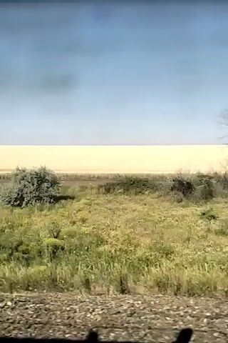 This media file appears to be a video recording taken from a moving vehicle, possibly a train, as indicated by the blurry foreground which resembles train tracks and the way the landscape is steadily passing by. The scene depicts a wide, open grassland under a clear, pale blue sky. The terrain is covered in dry, yellowish-green grass with scattered low-lying bushes and a few sparse, leafless trees. In the background, a distinct, pale yellow horizontal band stretches across the horizon, possibly representing a distant field of crops, a desert, or a large body of water under a hazy sky. There are no people visible in the frame. The overall impression is of a vast, somewhat desolate rural landscape. The time of day appears to be daytime, likely late morning or afternoon, given the brightness of the sky and the shadows. The weather seems fair and dry, with no visible precipitation. There is a faint, dark smudge in the sky above the yellow band, which could be smoke or a cloud, but it is not prominent. The location context provided is Peremozhne, Ukraine. No text is visible in the video.