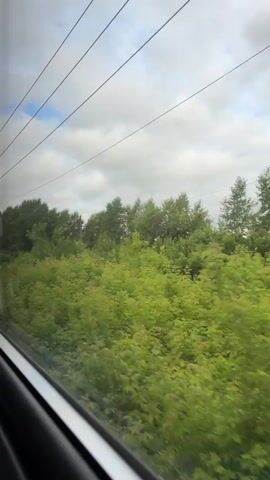 The video shows a view from a train window. Outside the window, there is lush green foliage, appearing to be trees and bushes. The sky is cloudy with patches of blue visible. Overhead, there are power lines and supporting structures for the train's electrical system. The train appears to be moving at a good speed, as the landscape outside is blurred, suggesting motion. The interior of the train is visible at the bottom left of the frame, with the edge of the window frame and a portion of the seat or wall. There are no people visible in the frame.