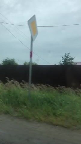The video shows a rural road with houses and vegetation. The road is wet, indicating recent rain. There are telephone poles and power lines visible. The houses appear to be older and some are surrounded by overgrown bushes and trees. The sky is overcast. The footage seems to be shot from a moving vehicle.