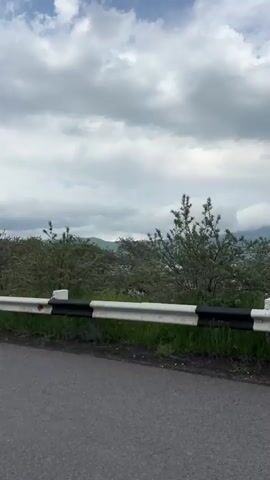 The video shows a roadside view. The camera is moving forward, suggesting it is from a vehicle. The road is asphalt. On the right side of the road, there is a white and black striped guardrail. Beyond the guardrail, there is green grass and then a line of trees. Further in the distance, there are mountains and a body of water. The sky is cloudy. The guardrail appears to be slightly damaged in places. There are no people visible in the video. The overall scene is a natural landscape with man-made road infrastructure.