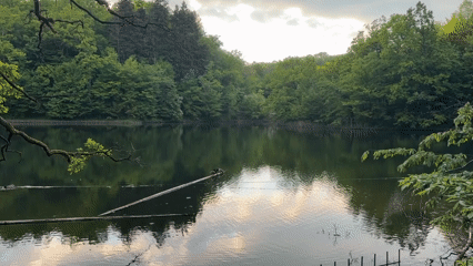 Tranquil afternoon moments captured at Romania's Ursu Lake