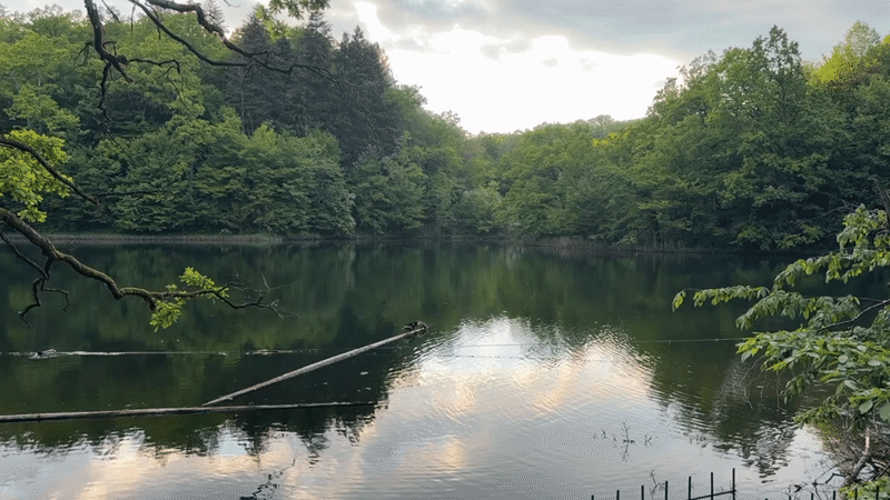 Tranquil afternoon moments captured at Romania's Ursu Lake