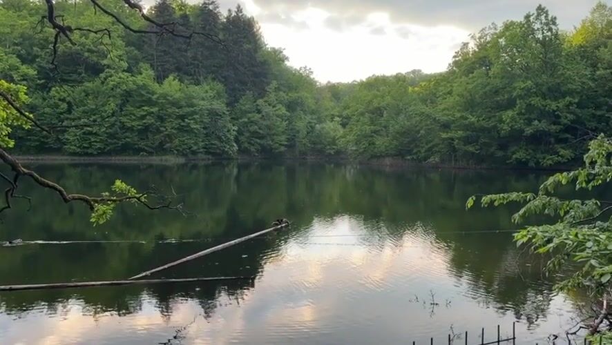 Tranquil afternoon moments captured at Romania's Ursu Lake