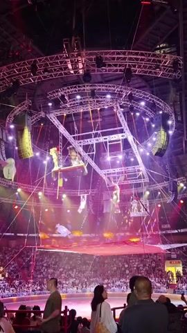 The video shows a wide shot of an indoor circus or performance arena. High above the audience, performers are suspended on a complex rigging system. One group of performers appears to be on a circular platform with trapeze-like elements. Other performers are seen hanging from ropes or wires. The arena is lit with colorful stage lighting, primarily purple and pink, casting dramatic shadows. Loudspeakers are visible attached to the overhead structure. Below the performers, a large audience is seated in tiers, looking up at the performance. In the foreground, the backs of several audience members are visible. The overall atmosphere is one of a live spectacle.