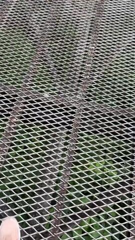 A first-person perspective video shows a person walking on a metallic walkway with a diamond-shaped pattern. The walkway is lined with white metal fences on both sides. Lush green trees and foliage surround the walkway, indicating an outdoor, possibly natural, environment. The walkway appears to be elevated, as indicated by the view of the ground below through the mesh. The camera pans slightly to reveal more of the curved walkway and the surrounding vegetation, suggesting the person is traversing a path through a forest or park. The lighting suggests it is daytime, possibly overcast or shaded by the trees.