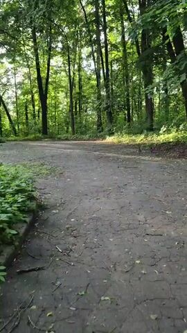 The video shows a person walking on a paved path through a wooded area. The path is cracked and covered with leaves and debris. Trees line the path on both sides. The sun is shining through the trees, creating dappled light on the path. In the distance, a building can be seen. The building is light brown and has several windows. The building is surrounded by greenery. The person is not visible in the video. The camera is moving forward at a steady pace. The sound of footsteps can be heard.