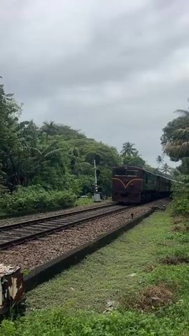 A train passes by on a cloudy day. The train is a locomotive pulling several passenger cars. The locomotive is red and green with the number 776 on the front. The passenger cars are red. People are visible in some of the windows of the passenger cars. The train is traveling on railroad tracks that are surrounded by lush green vegetation, including trees and bushes. The sky is overcast.