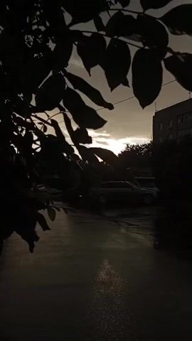 The video shows a dusky street scene, with heavy, dark foliage in the foreground. The road appears wet, reflecting the dim sunlight breaking through overcast clouds. A car is parked on the right side of the road, and a building looms in the background. The overall impression is of a quiet, somewhat gloomy evening.
