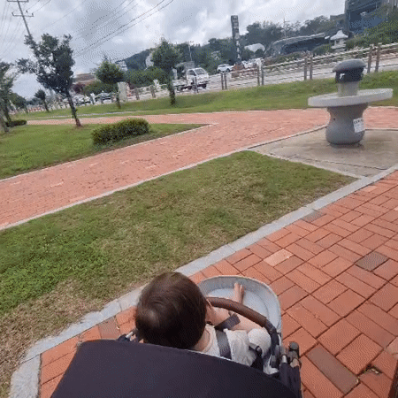Park stroll with a baby in Dunnae-myeon, South Korea