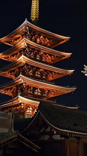 Nighttime photography captures illuminated Senso-ji Temple and Tokyo Skytree