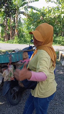 Woman with loaded motorcycle observed in Baron, Indonesia