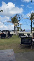 Tourist explores Balinese temples and oceanfront with small dog
