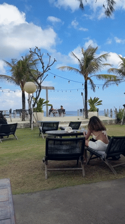 Tourist explores Balinese temples and oceanfront with small dog