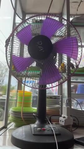 A purple bladed fan with a black base and center spins rapidly. The fan sits on a tiled surface in front of a display case. A stack of green and yellow plastic bowls is visible to the left of the fan, and a stack of white plates is to the right. A white electrical adapter is plugged into a white wall outlet on the right side of the fan. The background is blurred and shows a street scene.