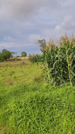 Rural life documented in Bukuru, Nigeria through personal recordings