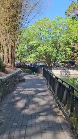 The video shows a pathway made of brick pavers curving to the right. A stone wall with a metal railing runs alongside the pathway. To the left of the pathway is a dense grove of tall bamboo stalks with green leaves. Beyond the bamboo and pathway, there are trees with green foliage and a clear blue sky. In the distance, several people are visible near what appears to be a body of water or a pond. Some of the people are sitting on the stone wall near the bamboo. The overall impression is a natural, outdoor setting, possibly a park or botanical garden.