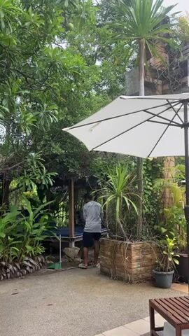 A person wearing a light-colored t-shirt and dark shorts is sweeping the ground with a broom. They are standing in an outdoor area with lush greenery and trees. A large white umbrella is open to their right, and a planter with a palm-like plant is next to the umbrella. A wooden structure with a thatched roof is visible in the background, and a body of water, possibly a pond or pool, is partially obscured by plants. The ground is paved with a light-colored, textured material.