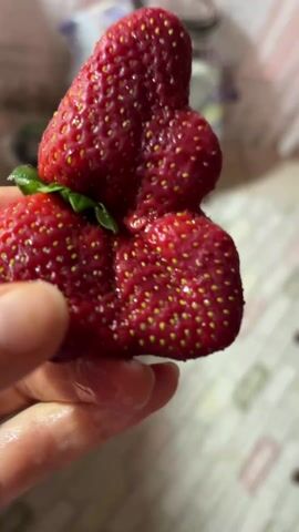 A hand is holding a large, conjoined strawberry. The strawberry has a bright red color and is covered in small, yellow seeds. The strawberry has a mass on its top half. The strawberry is held against a blurred background, revealing a countertop with various objects including a possible metal utensil. The camera zooms in and out. The video's focus remains on the strawberry throughout.