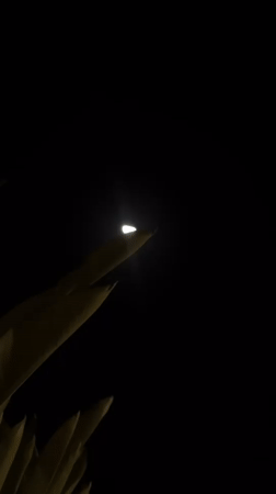 Half-moon observed through foliage in North Kuta evening sky