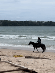 Horseback riding along the Andaman Sea shore at Choeng Thale