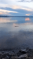 Calm waters and distant cityscape captured under cloudy skies
