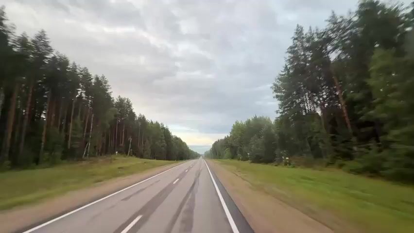 A first-person perspective video shows a car driving down a straight, paved road lined by dense forests on both sides. The sky is overcast with dramatic clouds. The road surface appears wet in places, with visible tire tracks and white lane markings. There are no other vehicles visible on the road. The trees are a mix of coniferous and deciduous species, with the forest canopy extending to the edges of the road. The overall impression is one of a quiet, somewhat moody drive through a natural landscape.