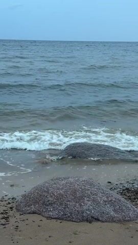 The video shows a natural scene of a beach with two large rocks on the sand and the ocean in the background. The waves are gently rolling onto the shore, and there is a cloudy sky overhead. The lighting is overcast, suggesting it might be a cool, gray day. The focus is on the rocks and the interaction of the water with them.