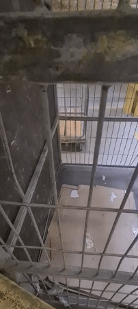 Warehouse operations documented in Riga distribution facility