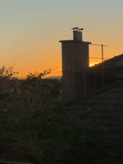 Budapest residents capture synchronized sunset views from residential windows
