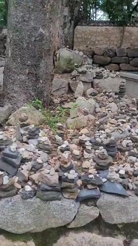 The video shows a ground-level view of a rocky area, possibly a forest path or a temple ground. Numerous small stacks of stones are visible, some meticulously balanced, others scattered. A large tree trunk is prominent in the center, with more stacked stones around its base. In the background, a low stone wall runs along a path, and a few people are seen walking. The environment appears natural and somewhat wild, with scattered leaves and grass. The camera movement is slow and panning, capturing the details of the stone arrangements.