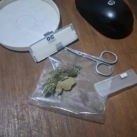 The video shows a close-up, overhead view of a wooden surface. In the foreground, a clear plastic bag contains several buds of what appears to be marijuana and a piece of hashish. To the right of the bag are small silver scissors and another clear plastic item with a white tab. In the upper part of the frame, there is a white round container, a white rectangular object with the letters "OC" printed on it, and a black computer mouse. The lighting is dim, and the focus is primarily on the contents of the plastic bag.