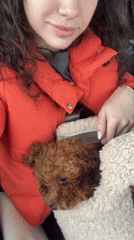 Woman with poodle puppy photographed in Bulgarian village