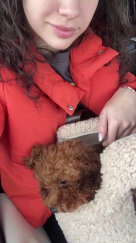 Woman with poodle puppy photographed in Bulgarian village