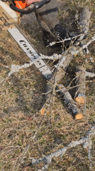 Person cuts branches with chainsaw in Belarus field