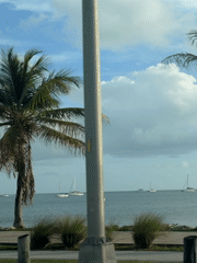Boats spotted on Miami waters from moving vehicle