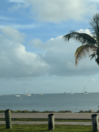 Boats spotted on Miami waters from moving vehicle