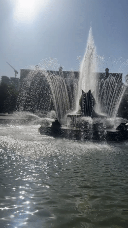 Sunny city morning: fountains, streets, plants, and a cat