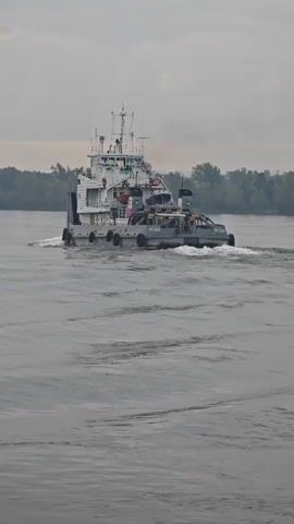 A grey and white tugboat is moving through the water. The tugboat is on the right side of the frame, and it is moving from right to left. The water is grey, and there are ripples on the water. The sky is overcast. In the background, there are trees.