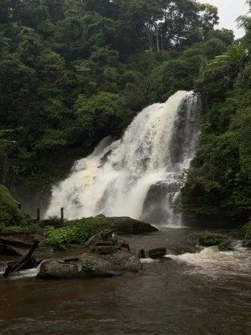 The video shows a waterfall cascading down a rocky incline, surrounded by lush green vegetation. The water is churning and white as it falls into a dark, murky pool at the bottom. In the foreground, there are several large rocks and some debris, including logs and what appears to be trash. Further back, a person is walking across a bamboo bridge that spans a stream leading away from the waterfall. The bridge is made of natural materials and appears rustic. The environment is clearly a natural, forested area, likely a tropical or subtropical region given the dense foliage. The lighting suggests an overcast or shaded day.