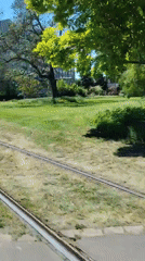 Woman rides tram through sunny Strasbourg park area