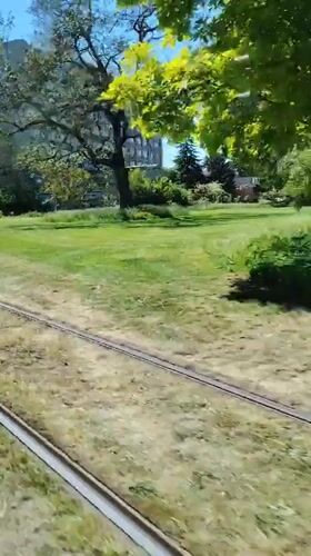 Woman rides tram through sunny Strasbourg park area