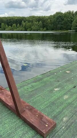 A wooden structure, possibly a ladder or part of a dock, is positioned in the foreground on a green surface. Beyond the structure is a body of water that reflects the cloudy sky. In the background, a dense forest of green trees lines the opposite shore of the lake. The video appears to be shot from a stationary perspective.