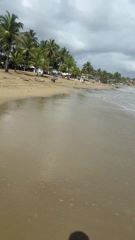 The video shows a sandy beach on an overcast day. Waves are gently breaking on the shore. In the distance, palm trees line the beach. Several people are visible further down the beach. There is a piece of driftwood in the sand near the waves. A tower is visible on the horizon. The camera appears to be held by a person walking along the shoreline.