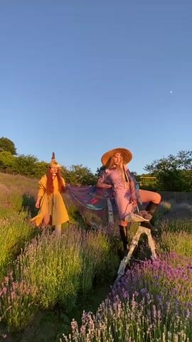 In a lavender field during the golden hour, two individuals strike poses against a backdrop of lush greenery and a clear, pale blue sky. The setting appears to be a rural landscape, possibly a farm or estate, given the presence of a wooden fence in the distance and rolling hills covered in trees.

On the left, a person with long, auburn hair wears a mustard-yellow dress and a conical, golden headdress adorned with what looks like leaves or petals. They stand with their left leg slightly forward, their right hand extended towards the ground, and their gaze directed downwards.

To the right, a second individual is seated on a white, step-stool-like object. They are dressed in a light purple garment, possibly a dress or a robe, with a long, flowing, iridescent overlay that catches the light. A wide-brimmed straw hat with decorative elements frames their face, and they are wearing black boots. Their left leg is propped up, and they hold a small basket filled with what appears to be lavender sprigs.

The sun, low in the sky, casts a warm, golden light across the scene, highlighting the vibrant purple of the lavender flowers and creating long shadows. The overall mood is serene and picturesque, evoking a sense of fantasy or artistic expression. The clear sky suggests fair weather. No text is visible in the media file.