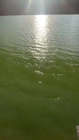 The video shows a body of water, likely a lake or river, reflecting sunlight. The water is a murky green color. Above the water, a bridge spans the waterway. The sun shines brightly, creating a strong glare on the water's surface. Some clouds are visible in the sky behind the bridge.