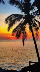 Witness documents everyday moments: beaches, food, collectibles, tech gear