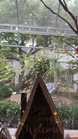 A video taken from inside looking out through a window or glass enclosure into a garden area. In the foreground, a small decorative triangular object with a lace trim and painted birds is visible, with "Welcome" written below. There are also small, flickering fairy lights draped around branches in the foreground. The garden outside is lush with green foliage, trees, and bushes. A swinging chair with a cushion is hanging from a tree branch. In the background, there are parts of buildings visible. The overall atmosphere is tranquil and inviting, with a touch of whimsical decoration.