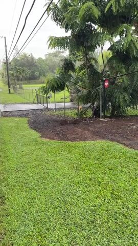 The video pans from left to right showing a fence and a grassy area with a gate. In the background, there are trees and a house. A double rainbow is visible in the sky. The weather appears to be rainy.