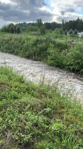 The video shows a fast-flowing, muddy river with frothy water. The riverbanks are covered in lush green grass and dense foliage, with some pink wildflowers visible in the background. In the distance, a line of trees forms the horizon. There are also some white structures that appear to be buildings or possibly tents, and a tall communications tower. A small pine tree is growing on the bank of the river. Further down the river, a rustic wooden bridge with a swing-like structure is visible above a concrete spillway. The water is rushing forcefully over the spillway, creating a foamy cascade. The sky is partly cloudy with patches of blue.
